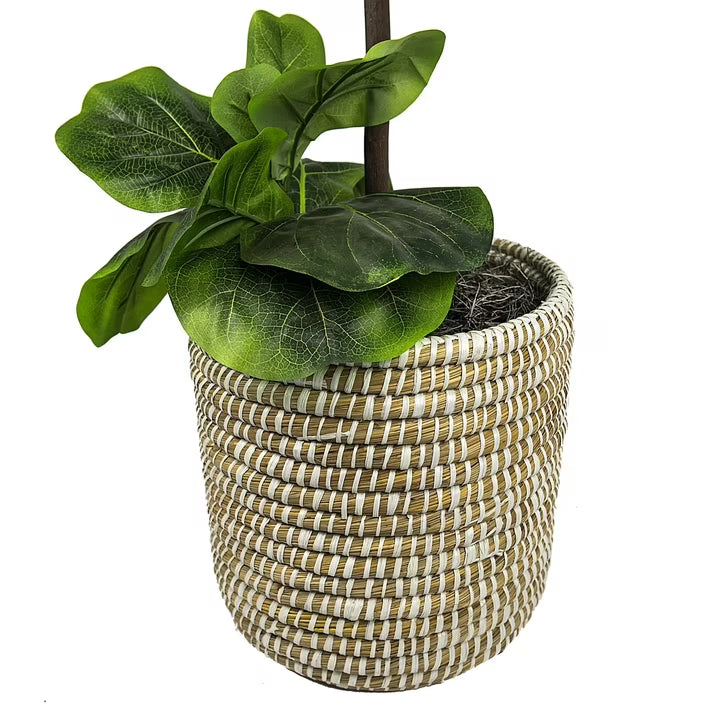 Faux 60" Fig Floor Plant in Roped Basket