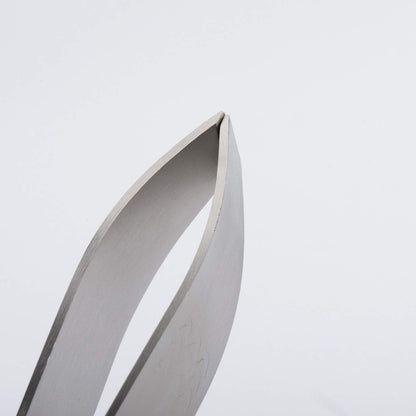 Westmark Fish Bone Tweezers, 5.4 x 1 x 1.2 inches, Stainless Steel