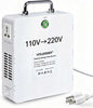 Yinleader 3000W 110v to 220v Converter Step Up Voltage Transformer 110v/120V to 220V/240V for Euro/Asia/DE/FR/UK/AU Appliances Used in US/CA/MX(White)