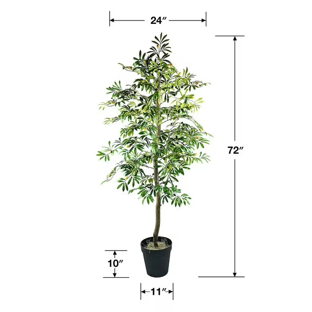 Faux 72" Olive Tree in Black Plastic Pot