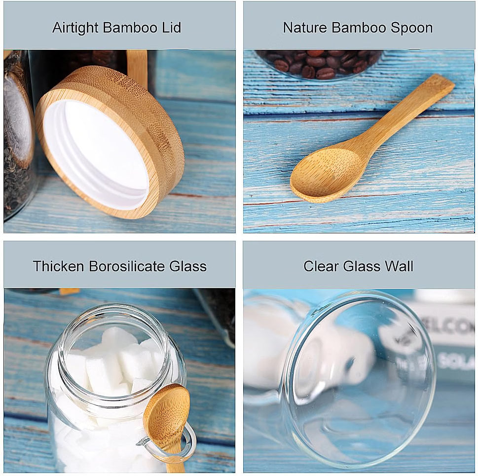 LEAVES AND TREES Y Glass Storage Jars with Screw Lids & Spoons, 6-Pack 16 OZ Airtight Food Containers, Borosilicate Glass Tea, Coffee, Sugar & Salt Jars