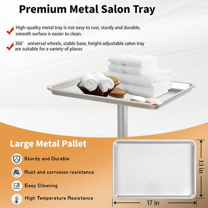 Salon Tray on Wheel, Metal Mayo Stand Tray, Use As Medical Tray, No-Rusting Rolling Tattoo Tray, Adjustable Hair Stylist Tray(Silver)