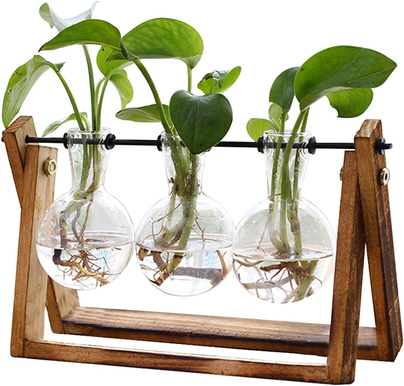 XXXFLOWER Plant Terrarium with Wooden Stand, 3 Bulb Glass Vase Air Planter, Retro Tabletop Hydroponics Display for Home, Garden & Office Decor