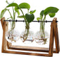 XXXFLOWER Plant Terrarium with Wooden Stand, 3 Bulb Glass Vase Air Planter, Retro Tabletop Hydroponics Display for Home, Garden & Office Decor