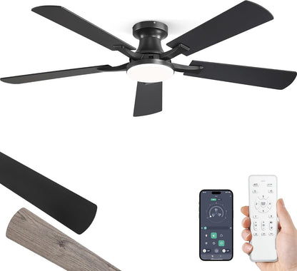 ZMISHIBO 52-Inch Ceiling Fan with Light