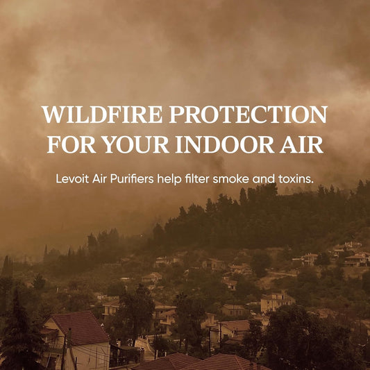 Levoit Core 300 Air Purifier with 3-in-1 Filtration