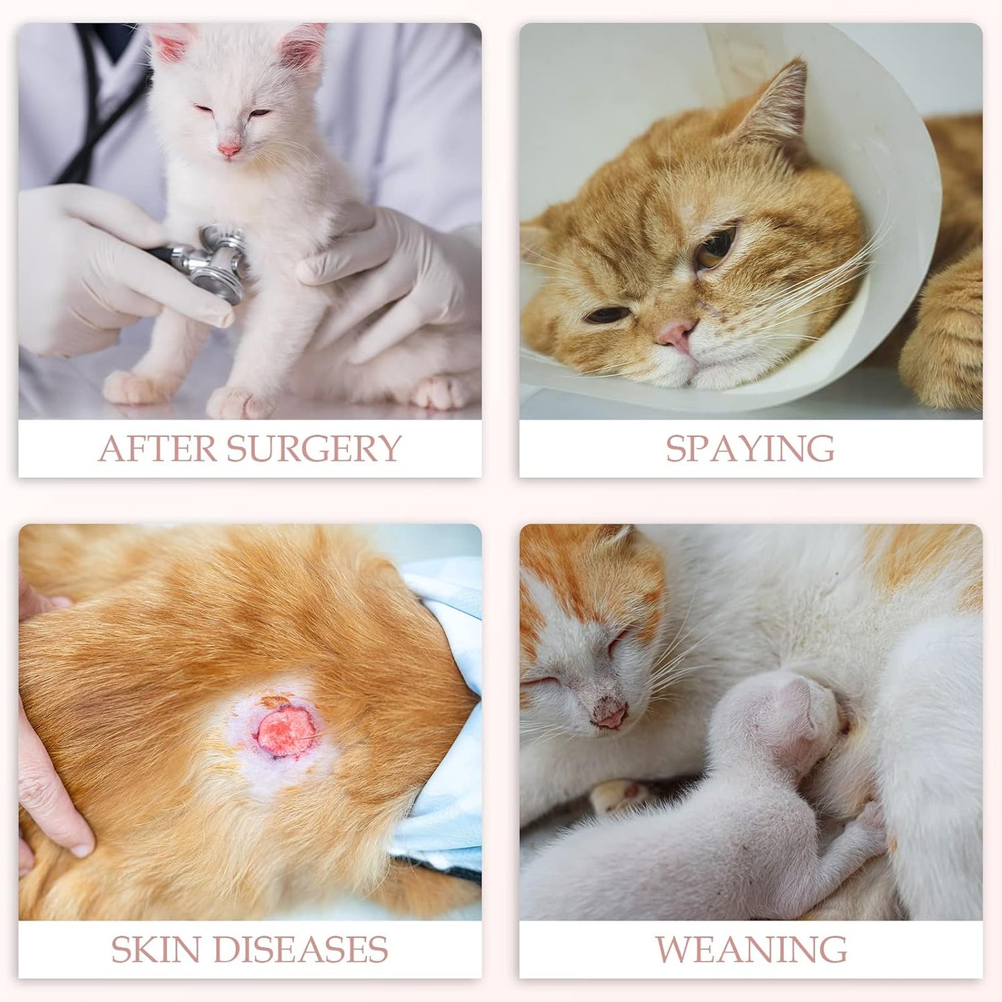 ANWA 2 Pack Cat Recovery Suit for Female Cats, Breathable Post-Surgery Recovery Onesie, Medium, Alpaca + Kitten