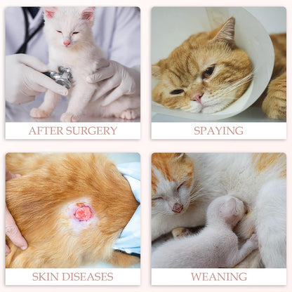 ANWA 2 Pack Cat Recovery Suit for Female Cats, Breathable Post-Surgery Recovery Onesie, Medium, Alpaca + Kitten