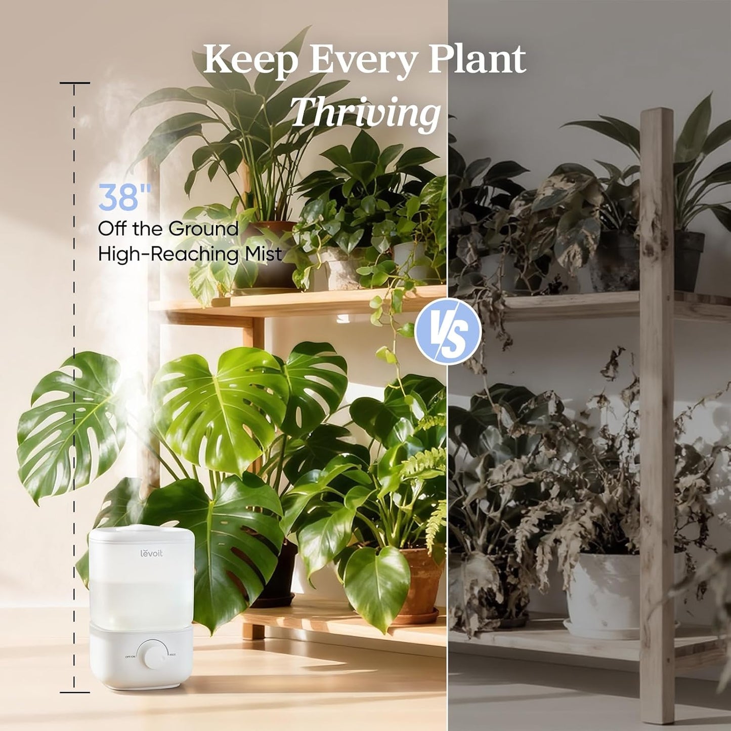 Levoit Top Fill Humidifiers for Bedroom, 2.5L Tank for Large Room, 28dB Easy to Fill & Clean, Quiet Cool Mist Air Humidifier for Home Baby Nursery & Plants, Auto Shut-off for Safety, 25H Lasting