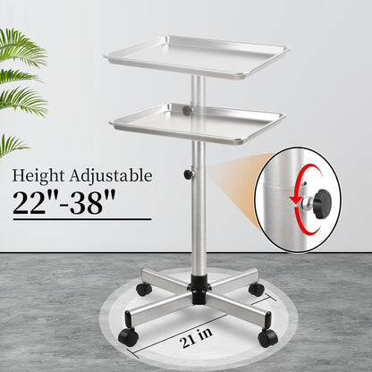 Salon Tray on Wheel, Metal Mayo Stand Tray, Use As Medical Tray, No-Rusting Rolling Tattoo Tray, Adjustable Hair Stylist Tray(Silver)
