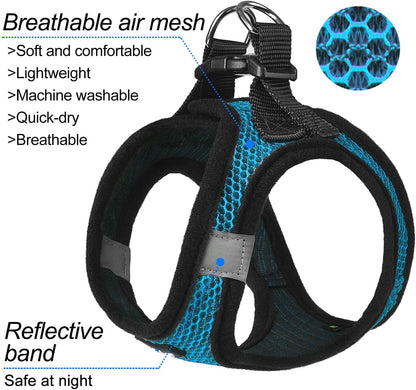 Dog Step-In Harness with Leash, Breathable Air Mesh Puppy Vest Harness for Small Dogs, Medium, Blue