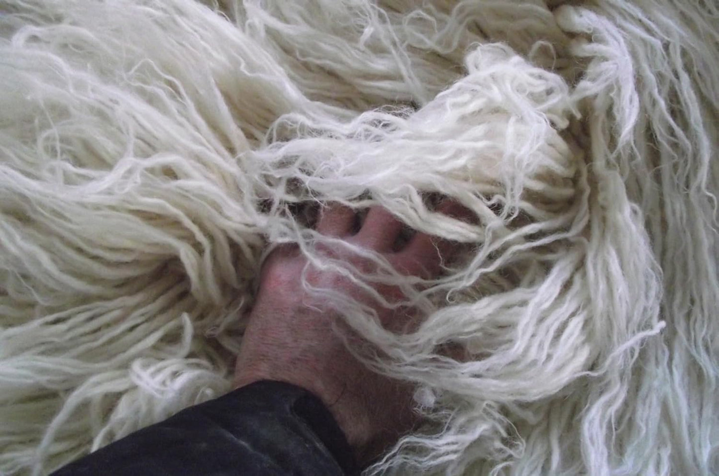 Unruly and Gorgeous flokati Rug. Exotic 6" Wool Pile. 100% Natural Wool. Shaggy Organic Area Rug (5x7)