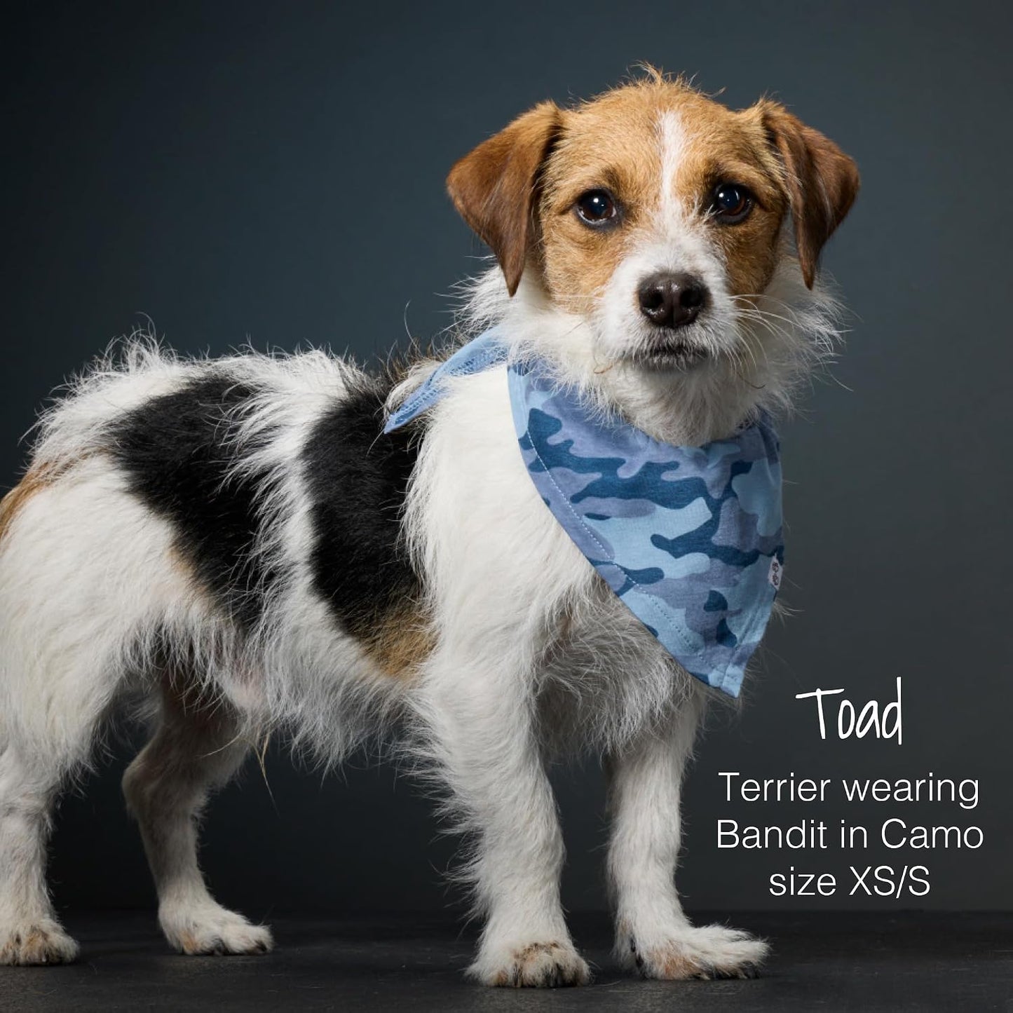 Pet Passion Bandit Organic Cotton Dog Bandanas 3-Pack, Navy Camo, Medium/X-Large