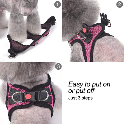Dog Step-In Harness with Leash, Breathable Air Mesh Puppy Vest Harness for Small Dogs, Medium, Blue