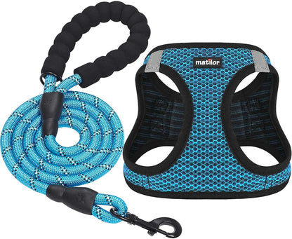 Dog Step-In Harness with Leash, Breathable Air Mesh Puppy Vest Harness for Small Dogs, Medium, Blue