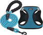 Dog Step-In Harness with Leash, Breathable Air Mesh Puppy Vest Harness for Small Dogs, Medium, Blue