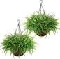 Waipfaru 2 Pack Fake Hanging Fern Plants Outdoor - Green UV Resistant Artificial Outdoor Hanging Plants, Realistic Faux Greenery Fern for Patio Front Porch Garden Home Decor