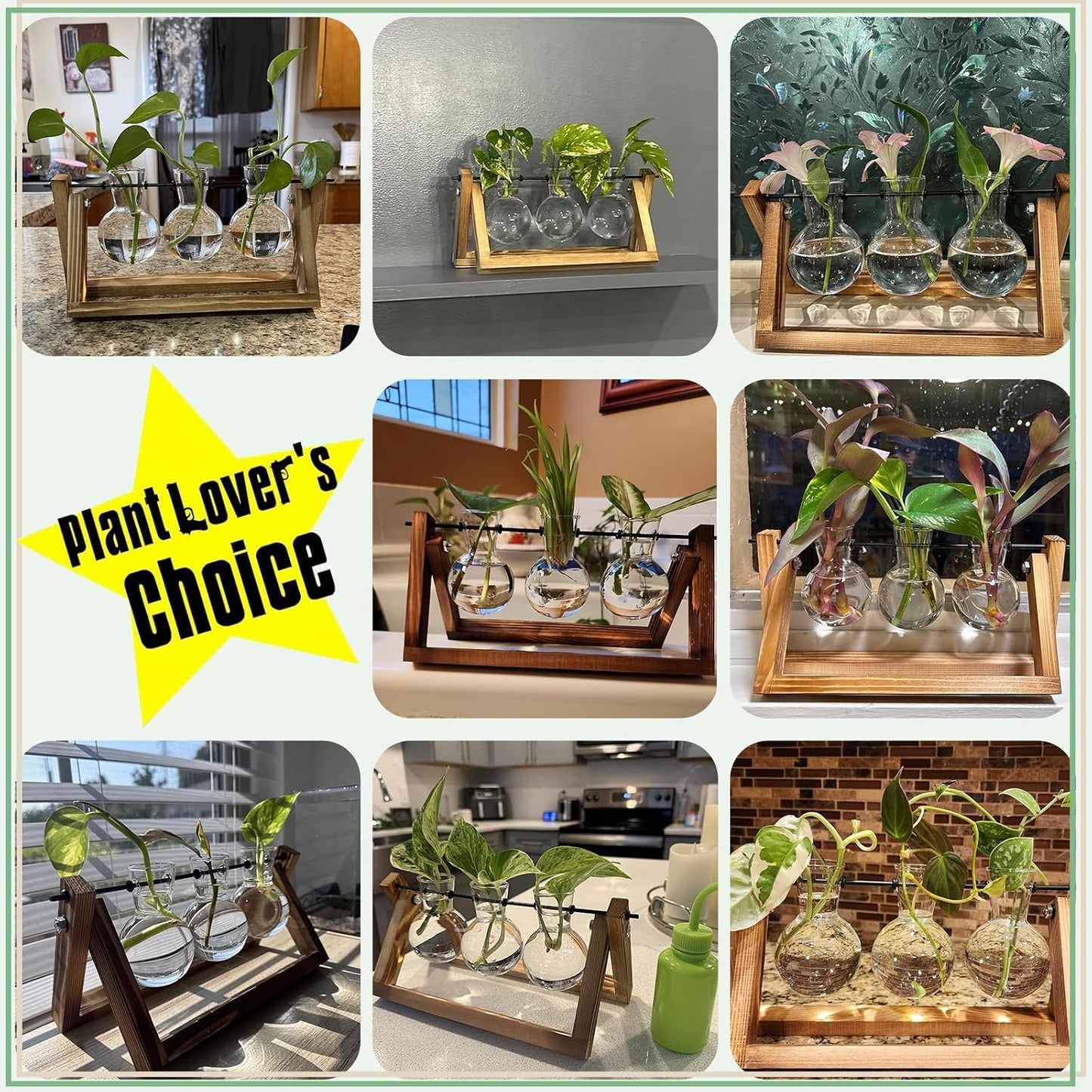 XXXFLOWER Plant Terrarium with Wooden Stand, 3 Bulb Glass Vase Air Planter, Retro Tabletop Hydroponics Display for Home, Garden & Office Decor