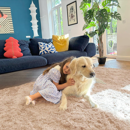 OLANLY Area Rugs for Living Room Bedroom, Machine Washable 4x5.9 ft Soft Fluffy Shaggy Bedside Rug, Indoor Floor Carpet for Kids Girls and Boys, Dorms, Nursery Rooms, Home Decor Aesthetic, Beige