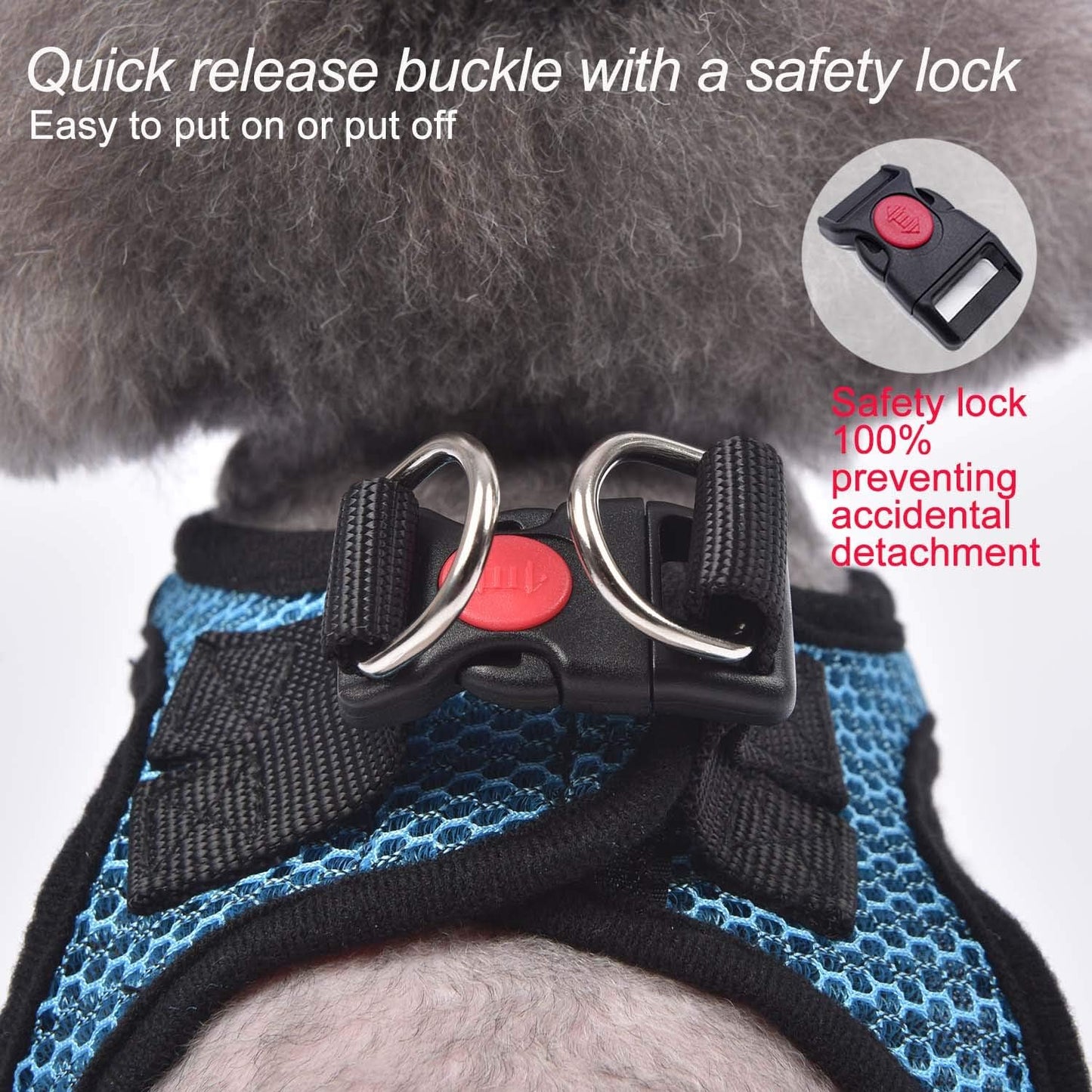 Dog Step-In Harness with Leash, Breathable Air Mesh Puppy Vest Harness for Small Dogs, Medium, Blue