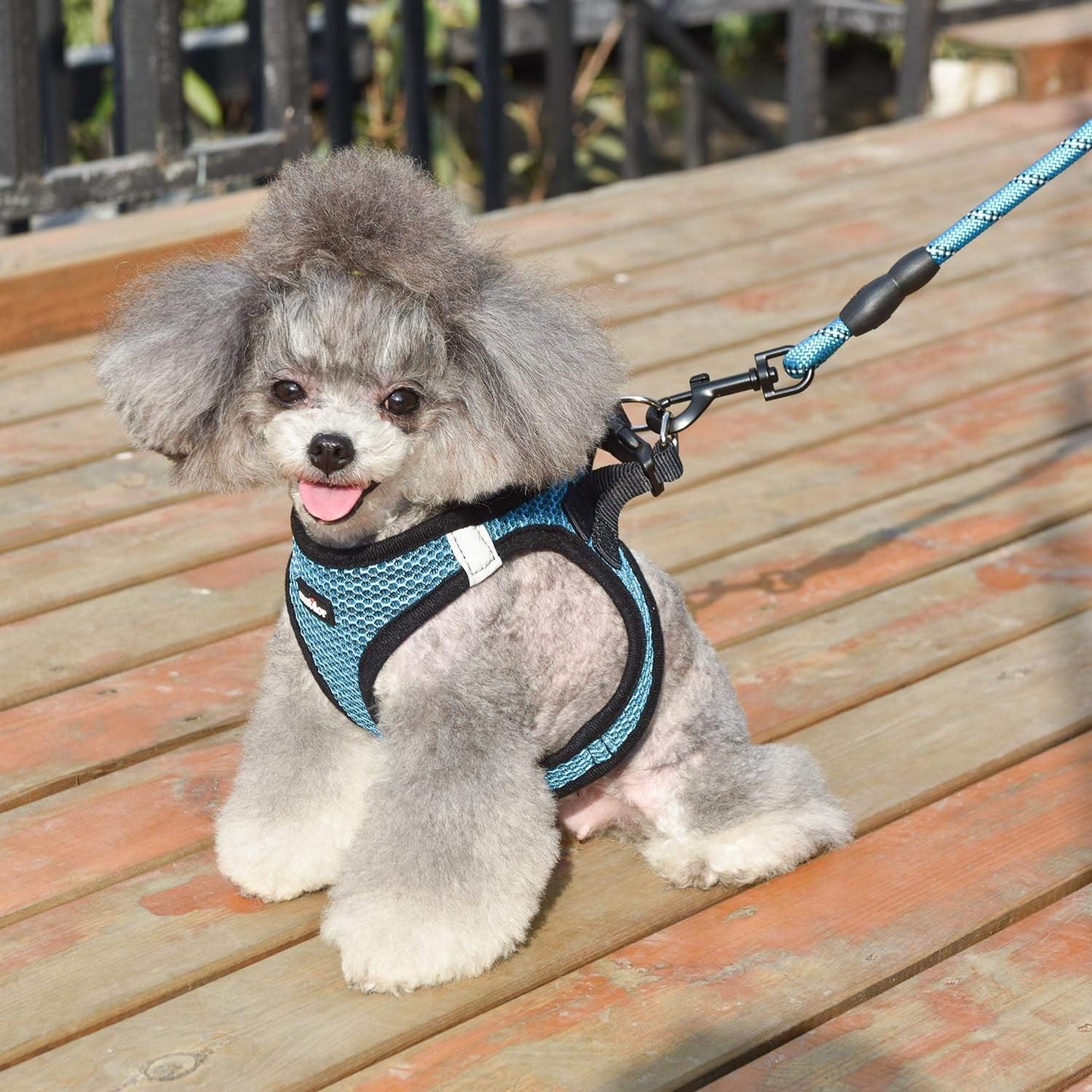 Dog Step-In Harness with Leash, Breathable Air Mesh Puppy Vest Harness for Small Dogs, Medium, Blue