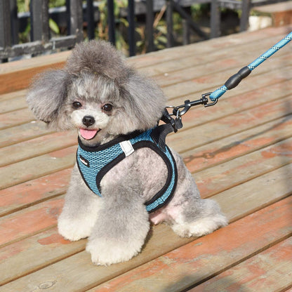Dog Step-In Harness with Leash, Breathable Air Mesh Puppy Vest Harness for Small Dogs, Medium, Blue
