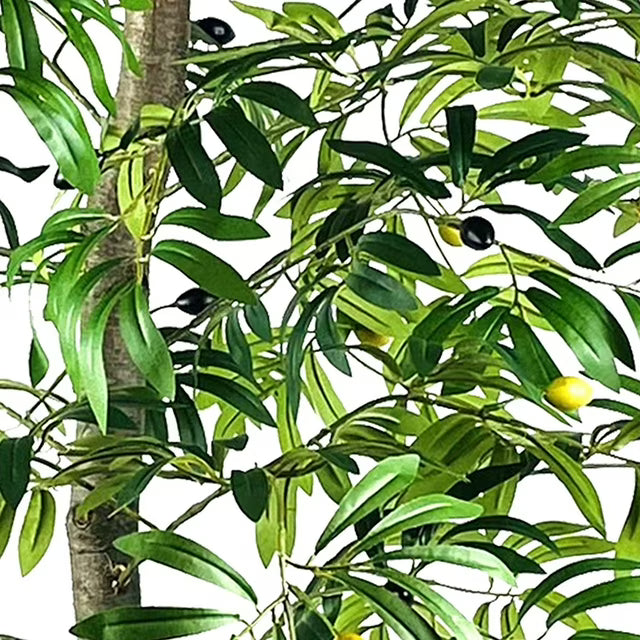 Faux 72" Olive Tree in Black Plastic Pot