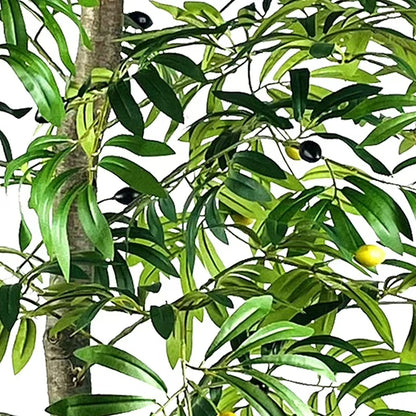 Faux 72" Olive Tree in Black Plastic Pot