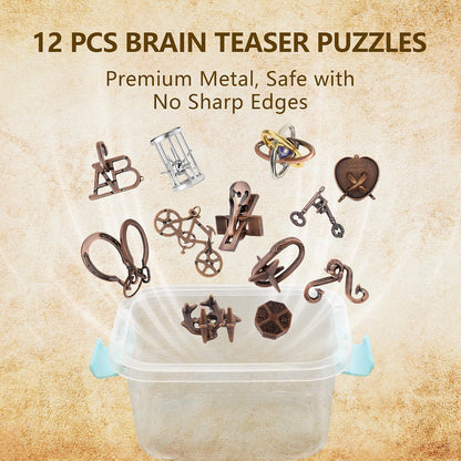 VVSBPL 12-Piece 3D Metal Brain Teaser Puzzle Set, Stainless Steel Disentanglement Logic Puzzles for Adults & Teens, Various Difficulty Levels, Portable IQ Challenge Game