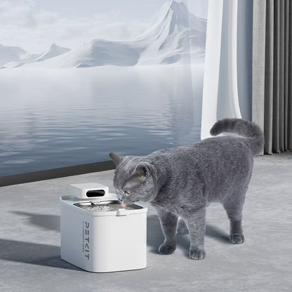 PETKIT Eversweet Cordless Max Smart Pet Drinking Fountain – 3L