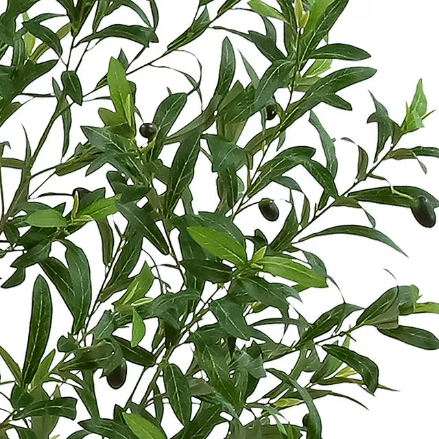 Artificial 7' Premium Olive Tree in Oversized Pot