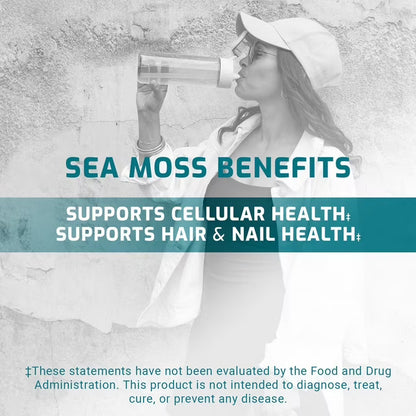 TruLabs Sea Moss Drink Mix Powder, Pink Citrus & Dragon Fruit Lime, 30 Ct.