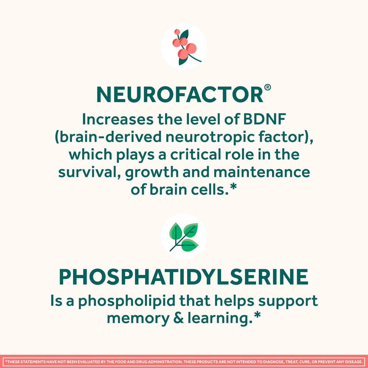Neuriva Original Brain Health Supplement Capsules, 45 Ct.